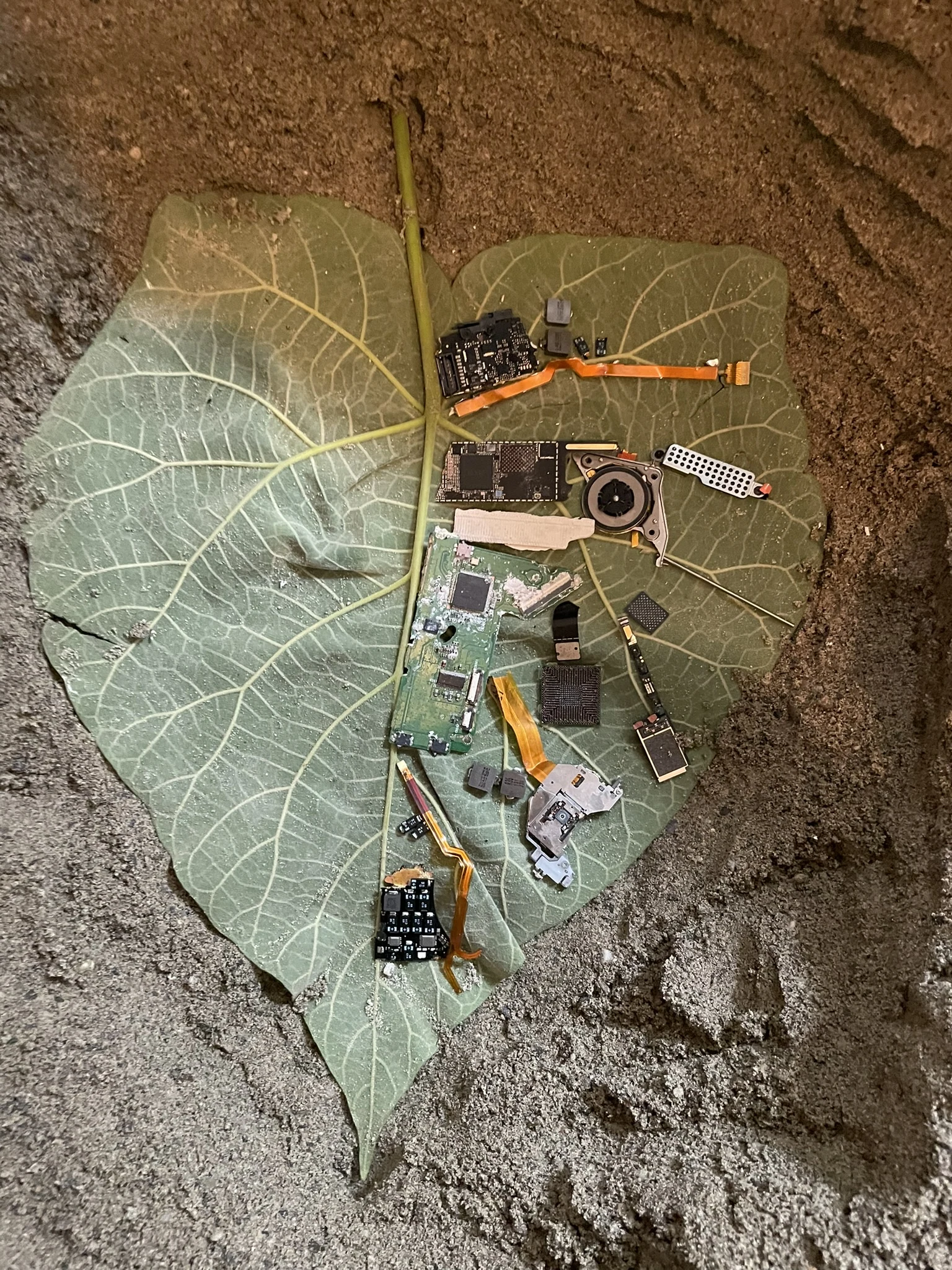 A leaf and electronic components in a material study