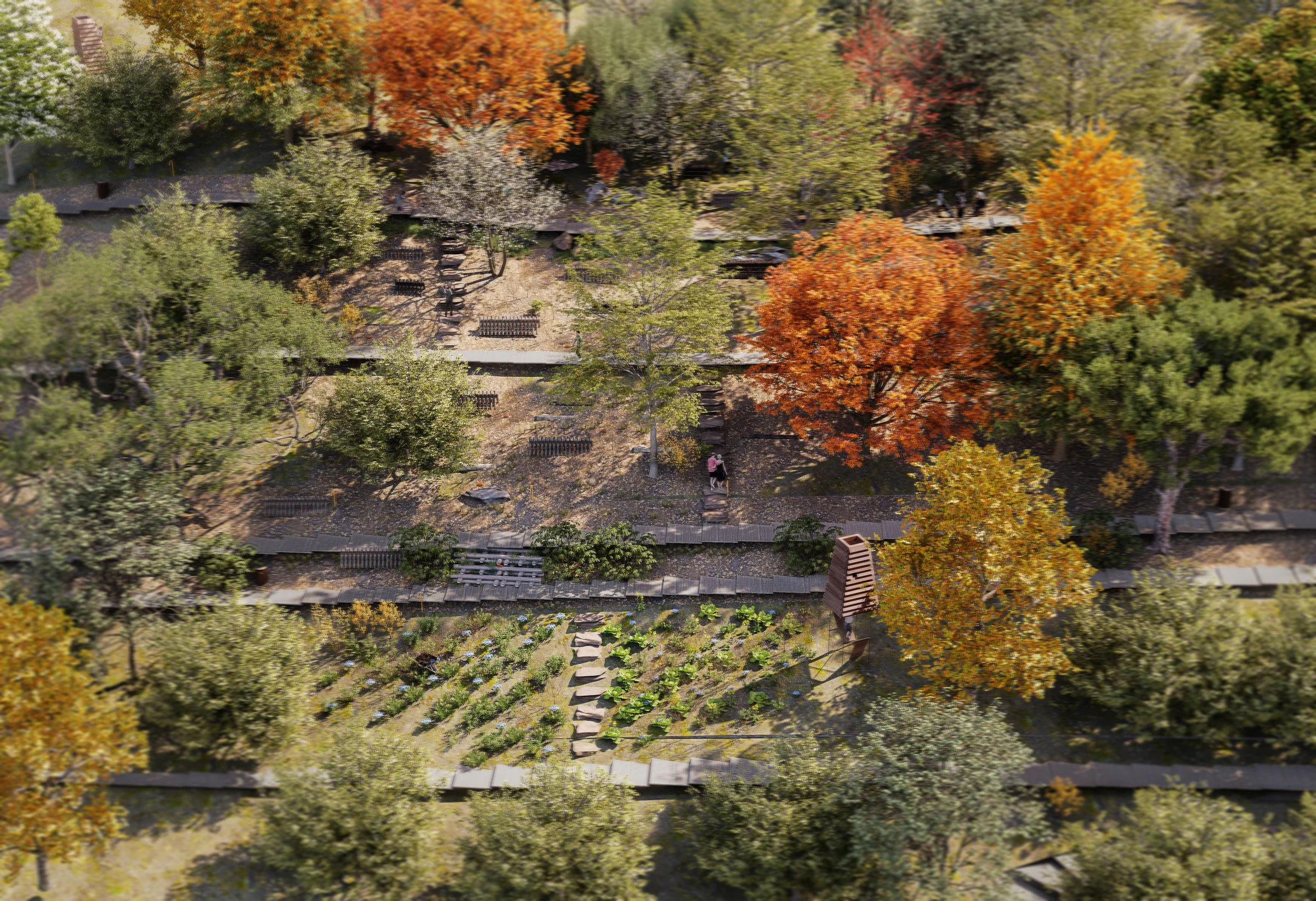 Concept aerial view of woodland paths and planted terraces