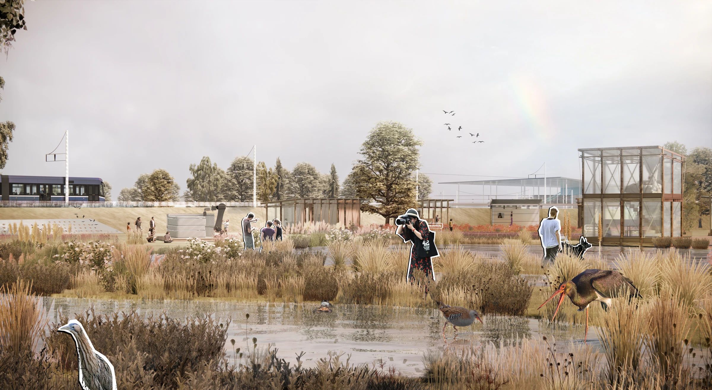 Concept view of housing, collective activity and planted landscape at Karow
